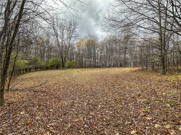 $214,900 | Trapping Brook Road, Wellsville, NY 14895