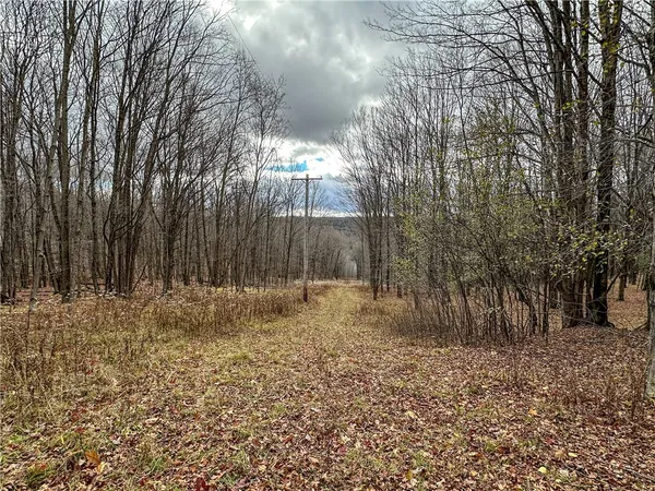 $214,900 | Trapping Brook Road, Wellsville, NY 14895