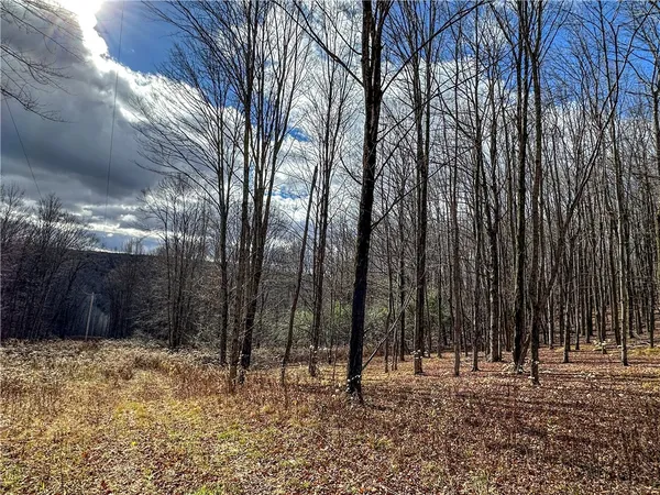 $214,900 | Trapping Brook Road, Wellsville, NY 14895