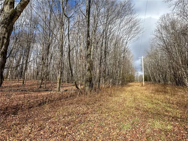 $214,900 | Trapping Brook Road, Wellsville, NY 14895