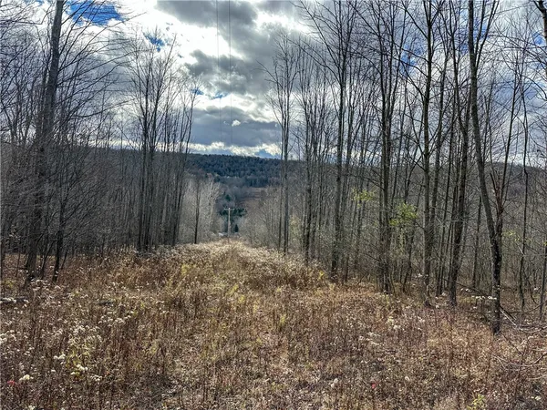 $214,900 | Trapping Brook Road, Wellsville, NY 14895