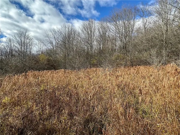 $214,900 | Trapping Brook Road, Wellsville, NY 14895