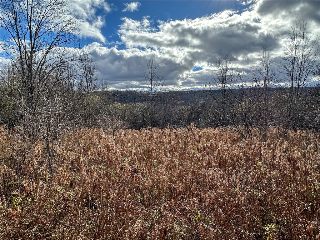 Trapping Brook Road Wellsville, NY 14895 - Photo 33 of 50