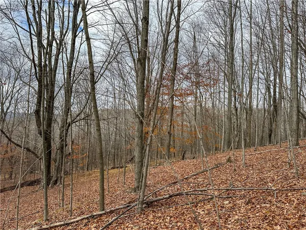 $214,900 | Trapping Brook Road, Wellsville, NY 14895