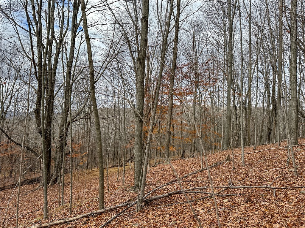 Trapping Brook Road Wellsville, NY 14895 - Photo 34 of 50