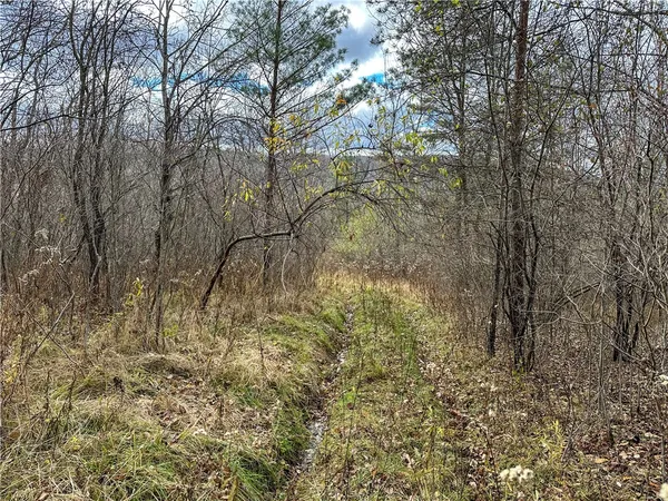 $214,900 | Trapping Brook Road, Wellsville, NY 14895