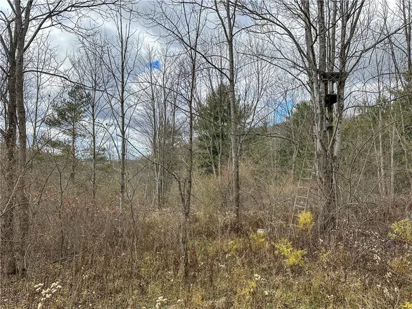 $214,900 | Trapping Brook Road, Wellsville, NY 14895