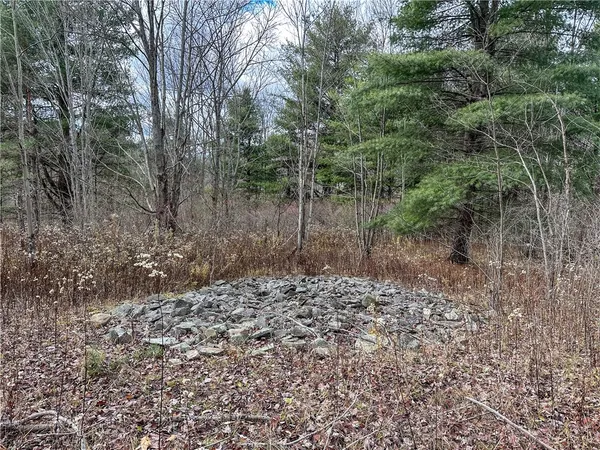 $214,900 | Trapping Brook Road, Wellsville, NY 14895