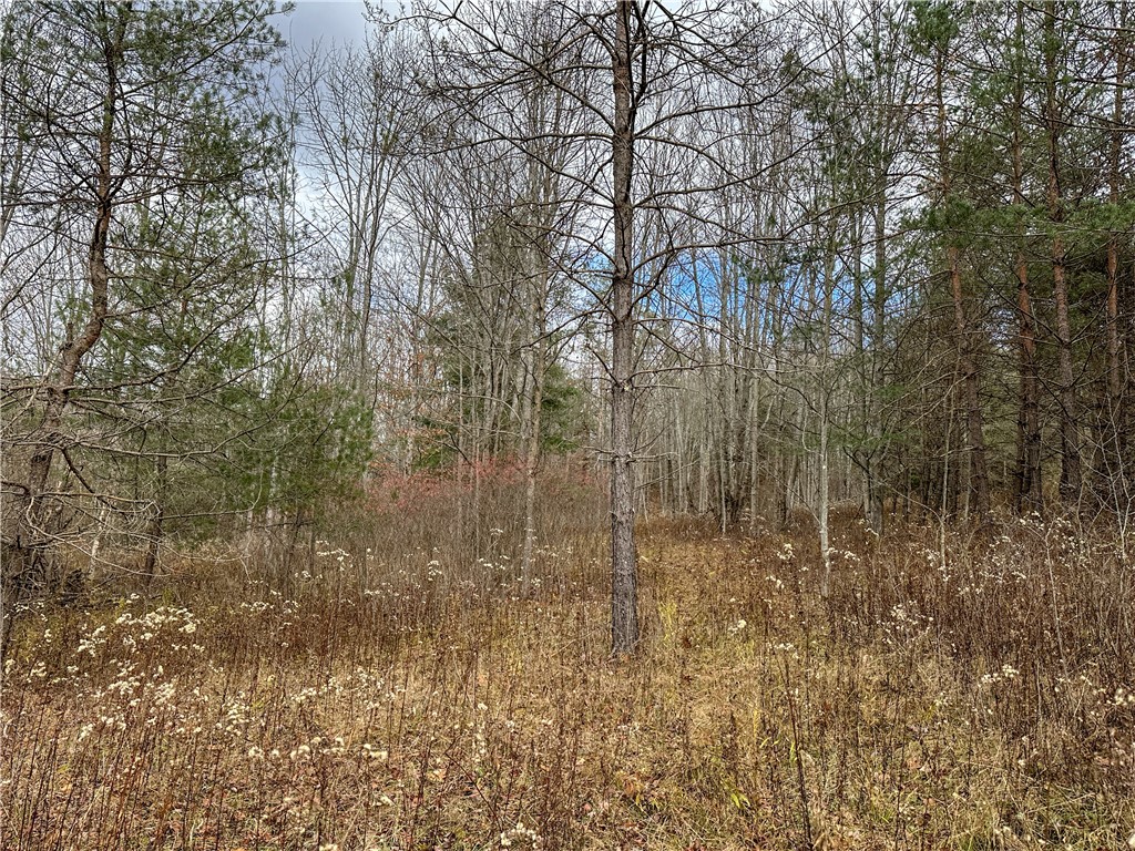 Trapping Brook Road Wellsville, NY 14895 - Photo 39 of 50