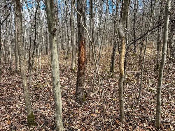 $214,900 | Trapping Brook Road, Wellsville, NY 14895