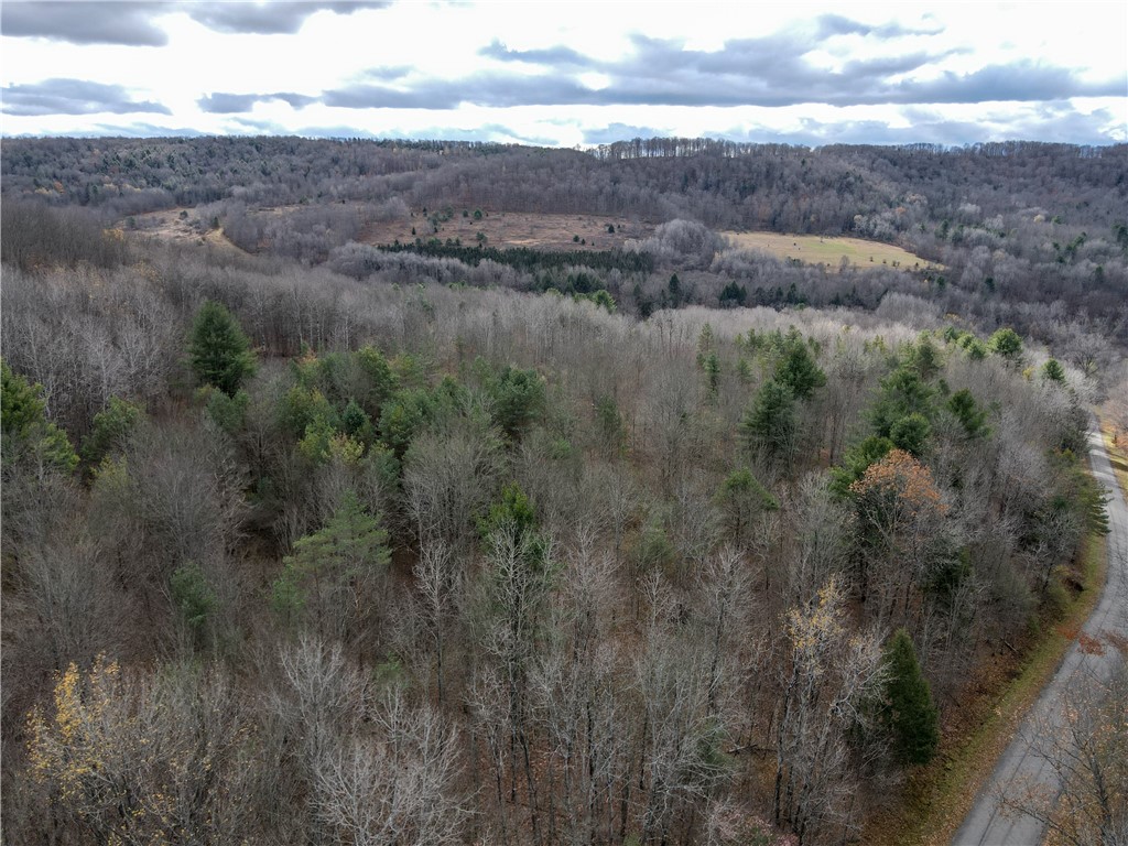 Trapping Brook Road Wellsville, NY 14895 - Photo 4 of 50