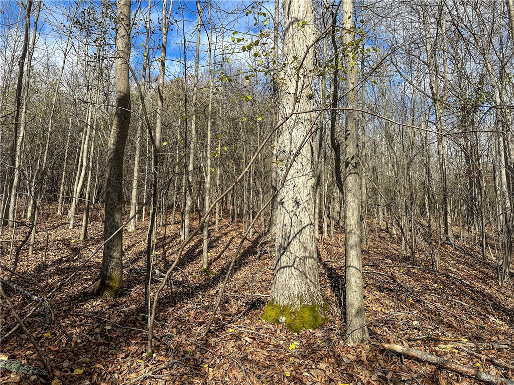 Trapping Brook Road Wellsville, NY 14895 - Photo 41 of 50