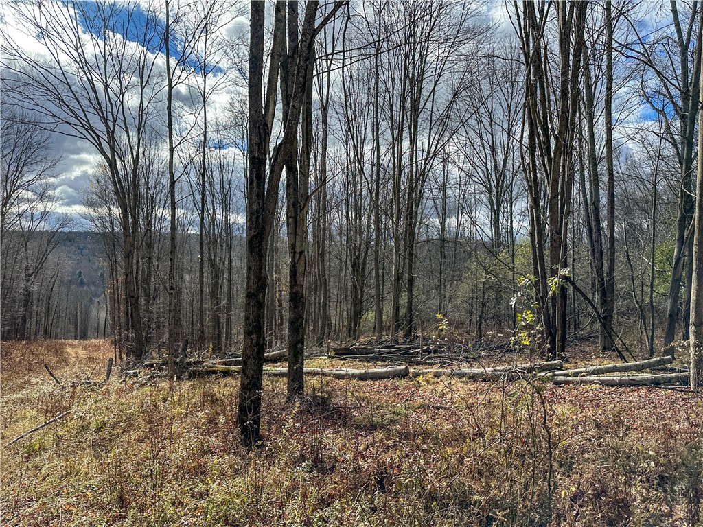 Trapping Brook Road Wellsville, NY 14895 - Photo 42 of 50