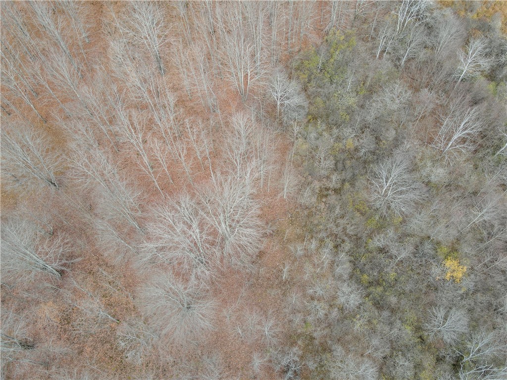 Trapping Brook Road Wellsville, NY 14895 - Photo 43 of 50