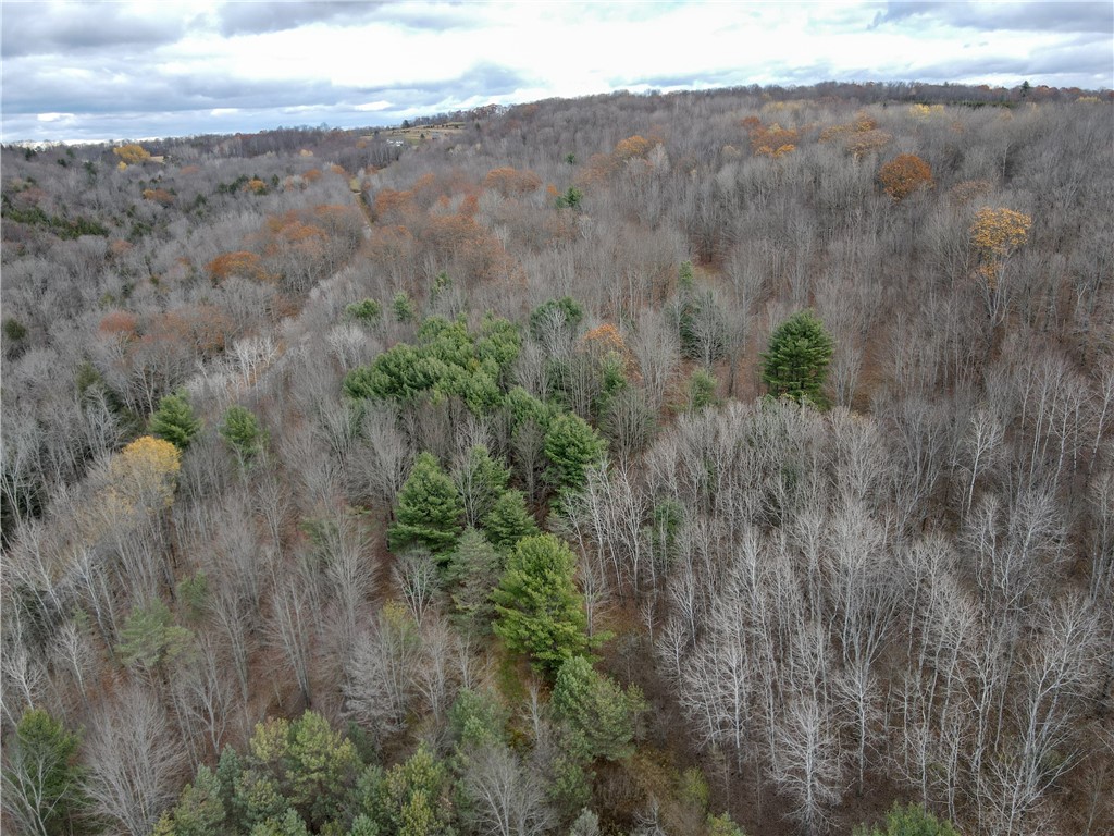 Trapping Brook Road Wellsville, NY 14895 - Photo 49 of 50