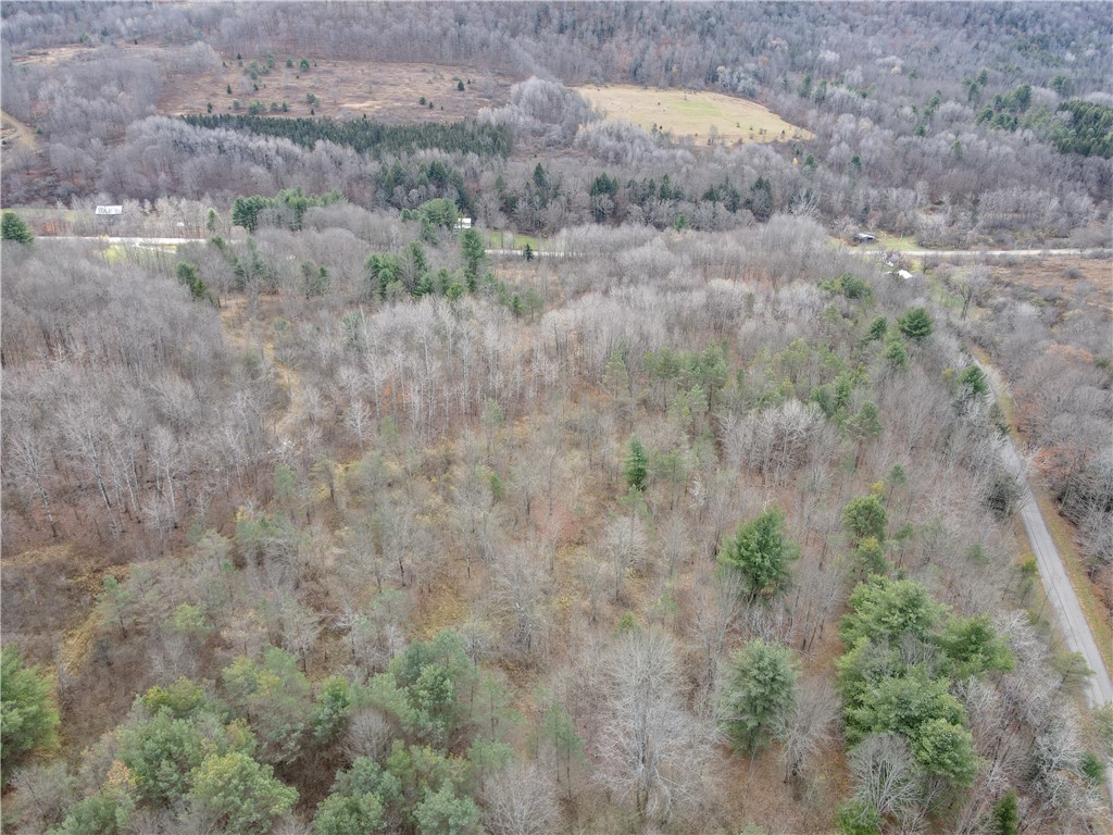 Trapping Brook Road Wellsville, NY 14895 - Photo 50 of 50