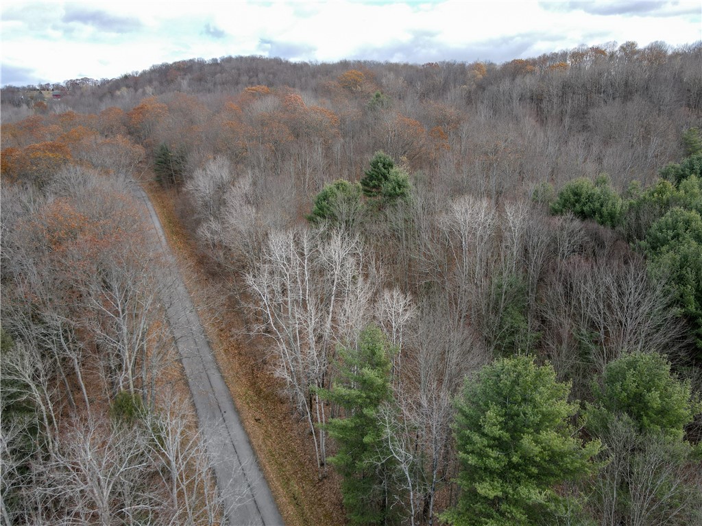 Trapping Brook Road Wellsville, NY 14895 - Photo 5 of 50