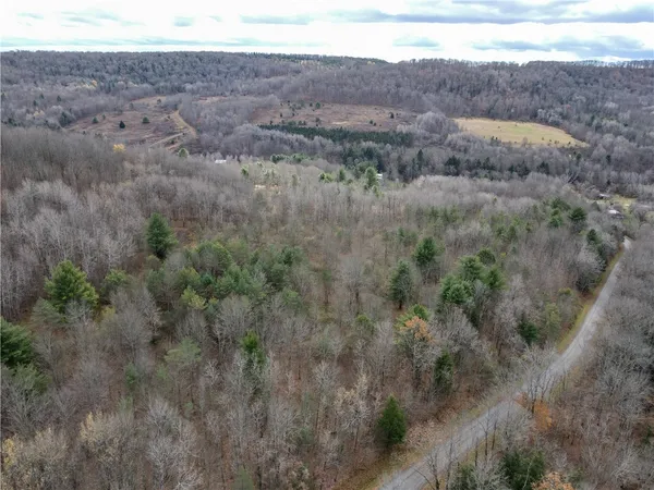 $214,900 | Trapping Brook Road, Wellsville, NY 14895