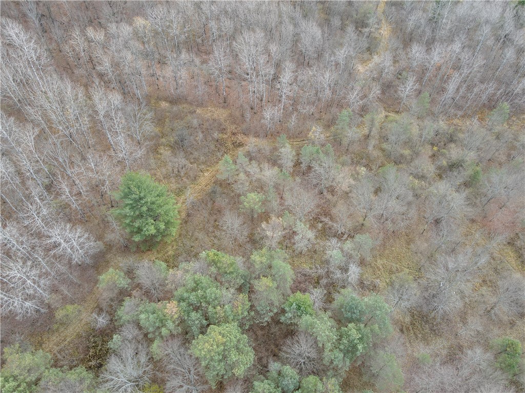 Trapping Brook Road Wellsville, NY 14895 - Photo 7 of 50