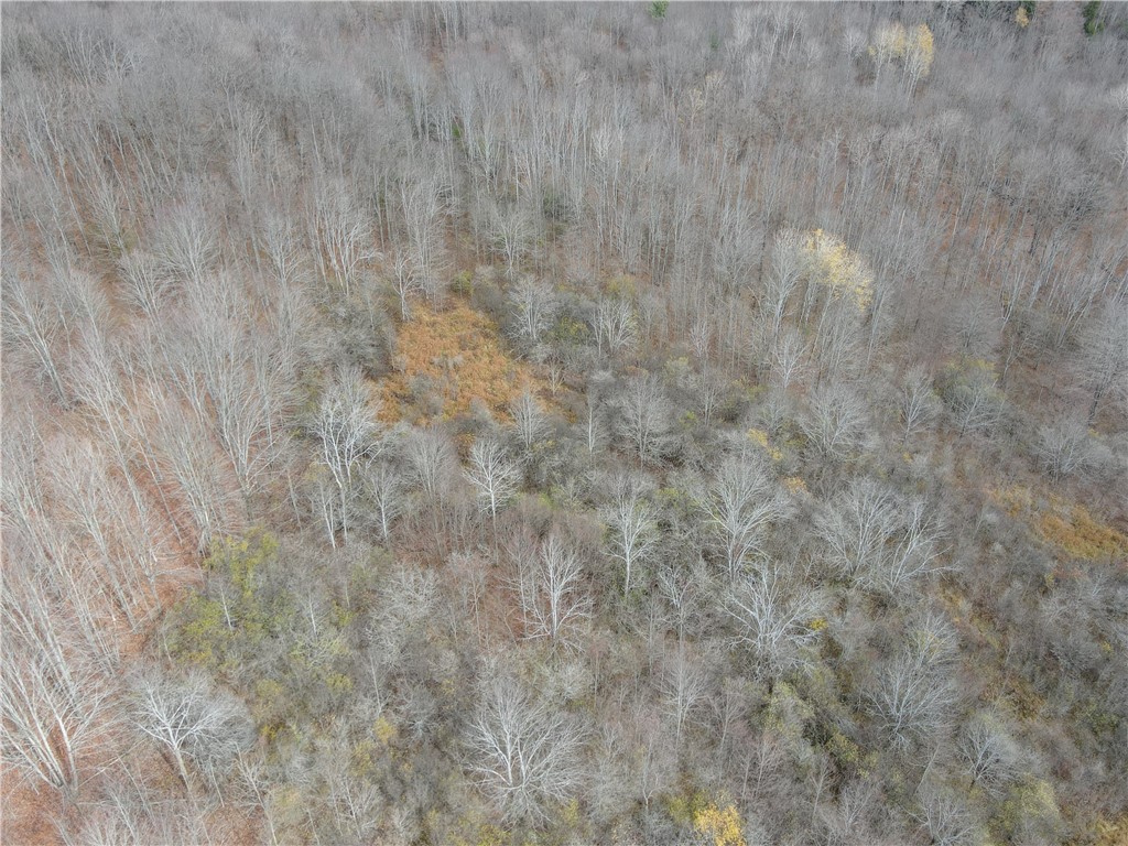 Trapping Brook Road Wellsville, NY 14895 - Photo 8 of 50