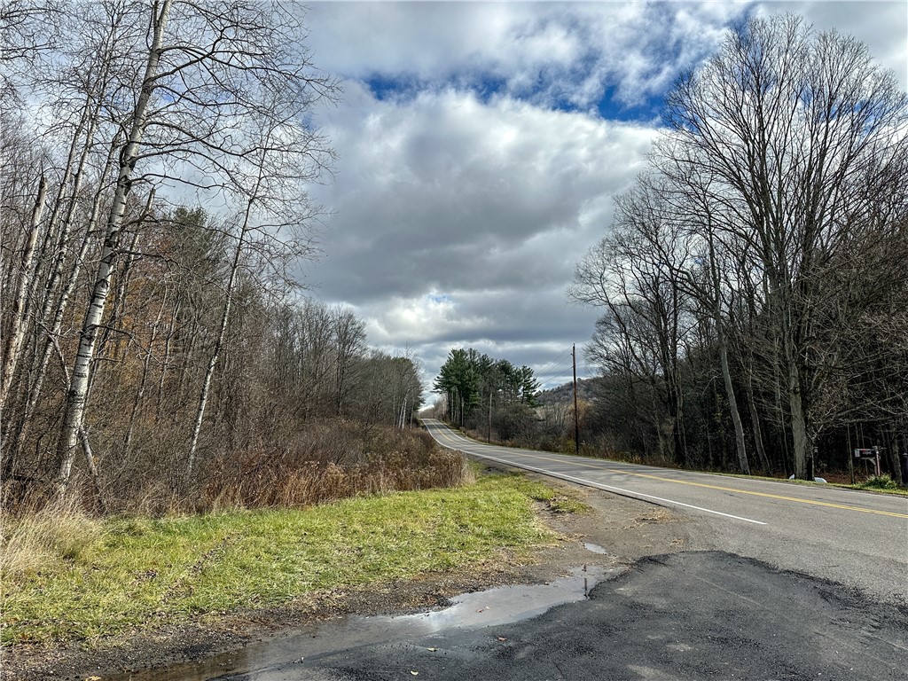 Trapping Brook Road Wellsville, NY 14895 - Photo 9 of 50