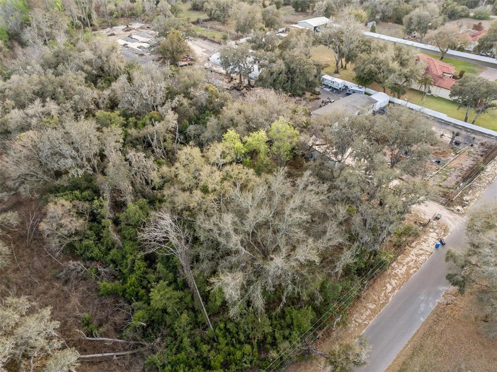 11119 Bessie Dix Road Seffner, FL 33584 - Photo 8 of 12