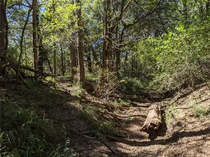 $650,000 | 272 Deadwood Road, Cedar Creek, TX 78612