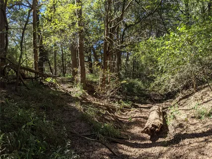 $700,000 | 272 Deadwood Road, Cedar Creek, TX 78612