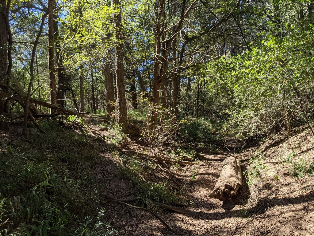 272 Deadwood Road Cedar Creek, TX 78612 - Photo 11 of 34