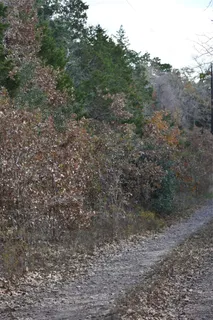 $650,000 | 272 Deadwood Road, Cedar Creek, TX 78612