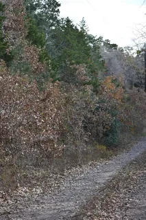 $700,000 | 272 Deadwood Road, Cedar Creek, TX 78612