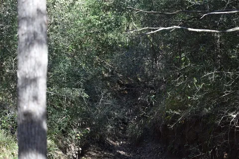 $700,000 | 272 Deadwood Road, Cedar Creek, TX 78612