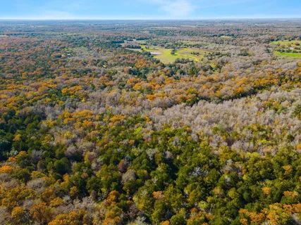 $700,000 | 272 Deadwood Road, Cedar Creek, TX 78612