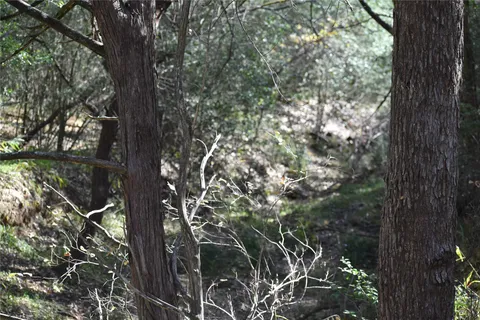 $650,000 | 272 Deadwood Road, Cedar Creek, TX 78612