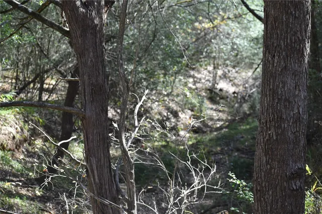 a view of a city with an ocean