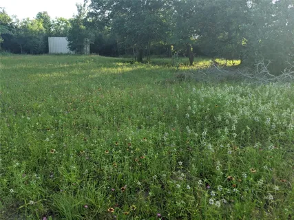 $700,000 | 272 Deadwood Road, Cedar Creek, TX 78612