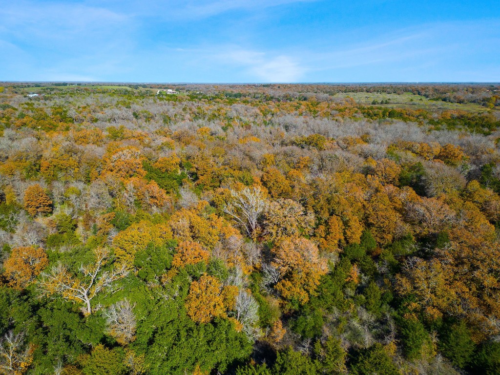 272 Deadwood Road Cedar Creek, TX 78612 - Photo 22 of 34