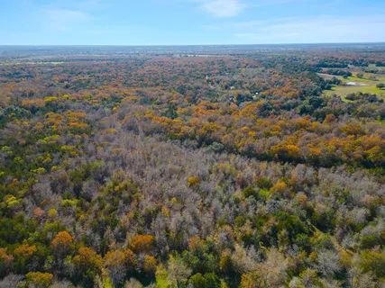 $650,000 | 272 Deadwood Road, Cedar Creek, TX 78612