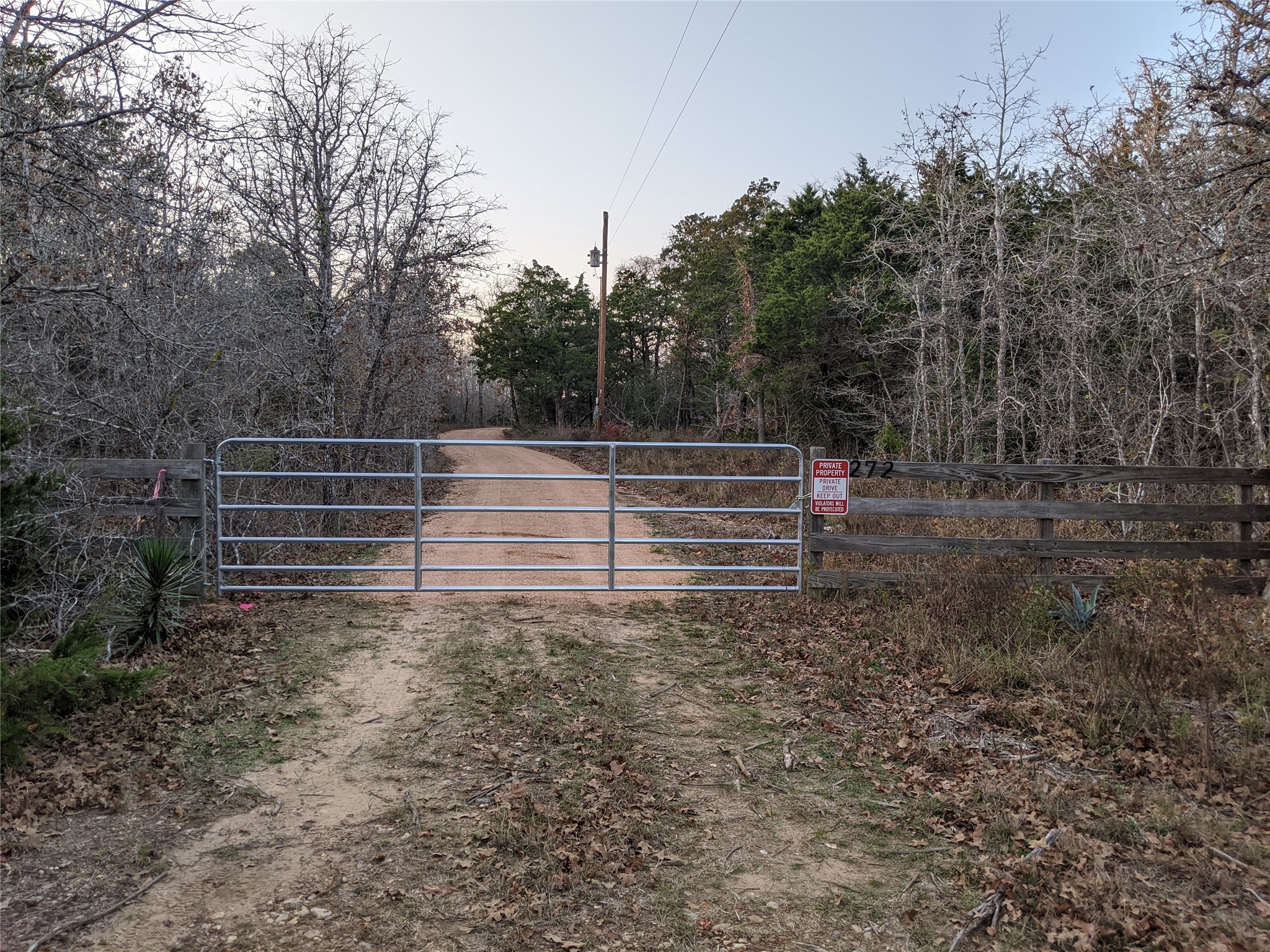 272 Deadwood Road Cedar Creek, TX 78612 - Photo 25 of 34 a view of backyard with green space