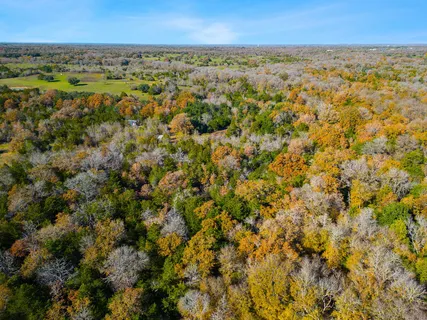 $650,000 | 272 Deadwood Road, Cedar Creek, TX 78612