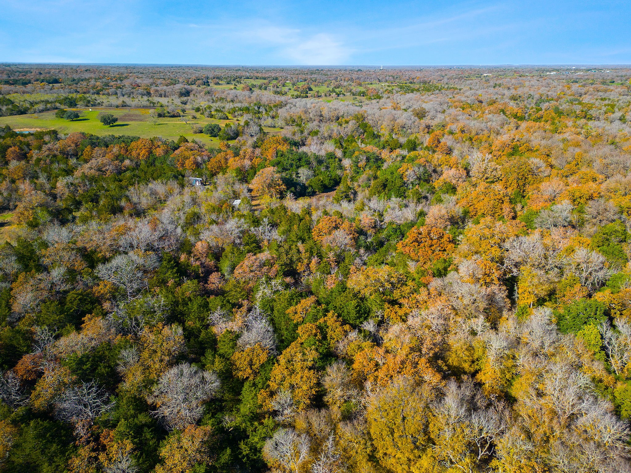 272 Deadwood Road Cedar Creek, TX 78612 - Photo 26 of 34 an aerial view of residential houses with outdoor space and trees