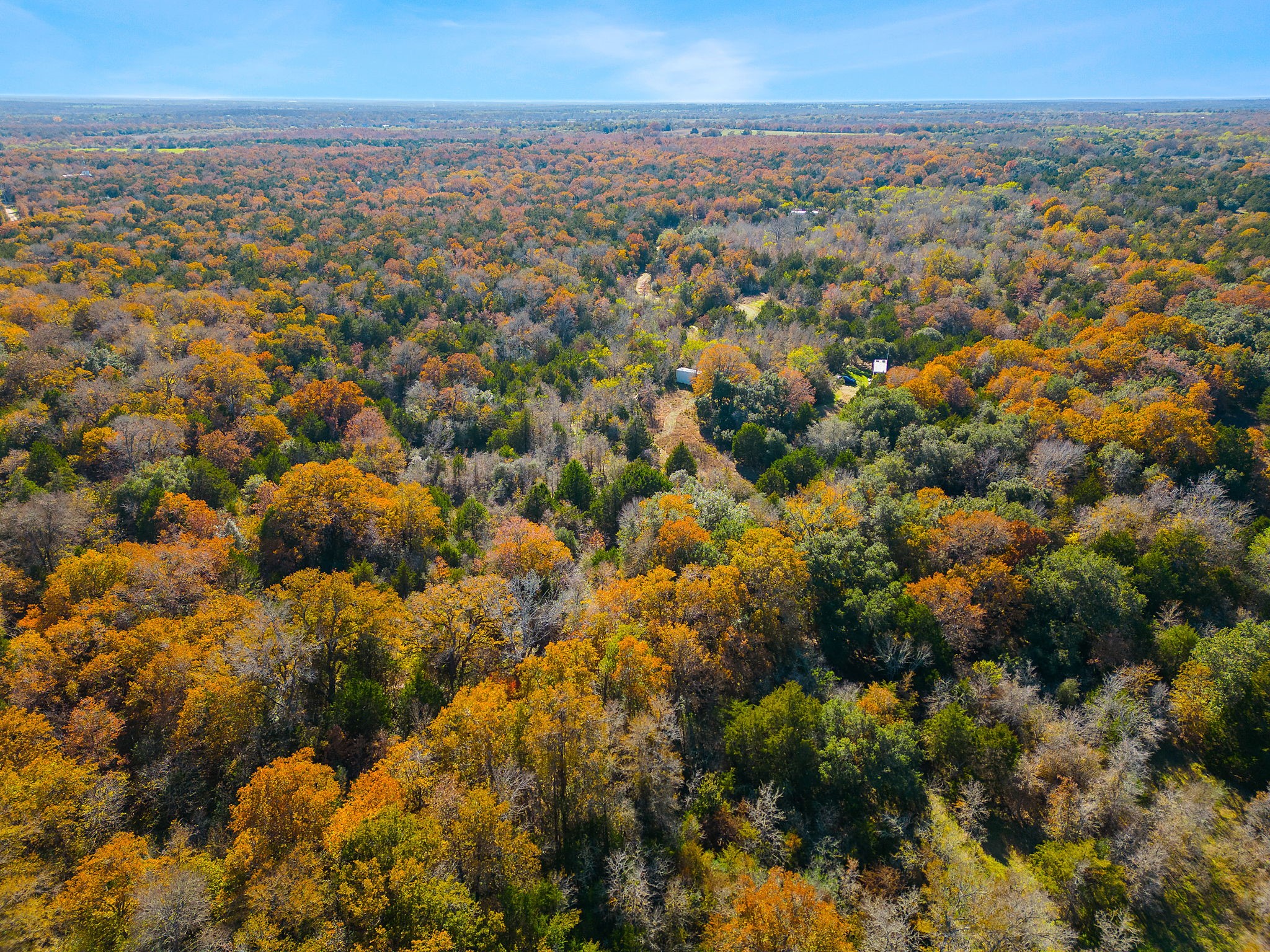 272 Deadwood Road Cedar Creek, TX 78612 - Photo 27 of 34 an aerial view of multiple house