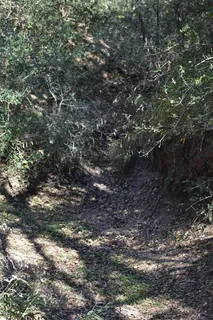 $700,000 | 272 Deadwood Road, Cedar Creek, TX 78612