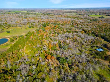 $650,000 | 272 Deadwood Road, Cedar Creek, TX 78612