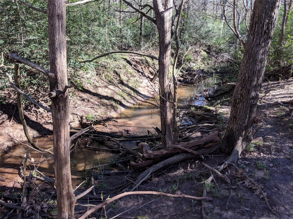 272 Deadwood Road Cedar Creek, TX 78612 - Photo 3 of 34