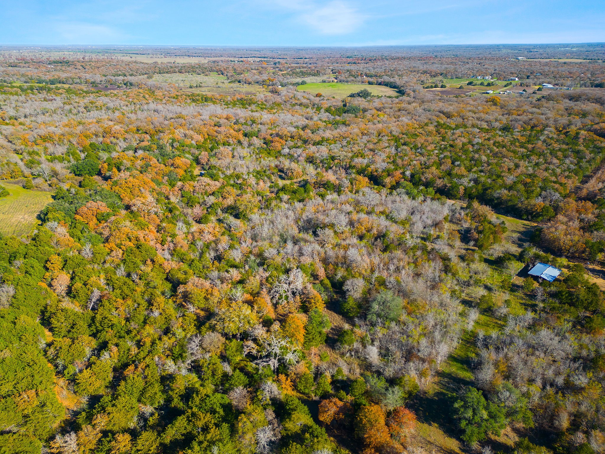 272 Deadwood Road Cedar Creek, TX 78612 - Photo 32 of 34 a view of an ocean