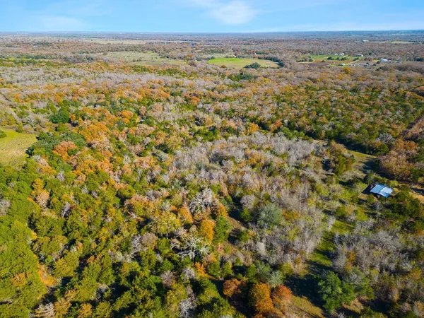 $650,000 | 272 Deadwood Road, Cedar Creek, TX 78612