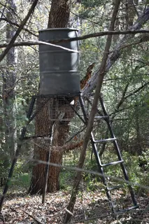 $700,000 | 272 Deadwood Road, Cedar Creek, TX 78612