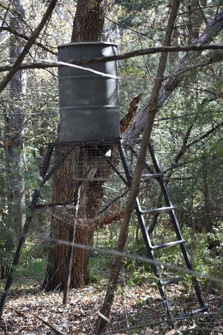 $700,000 | 272 Deadwood Road, Cedar Creek, TX 78612