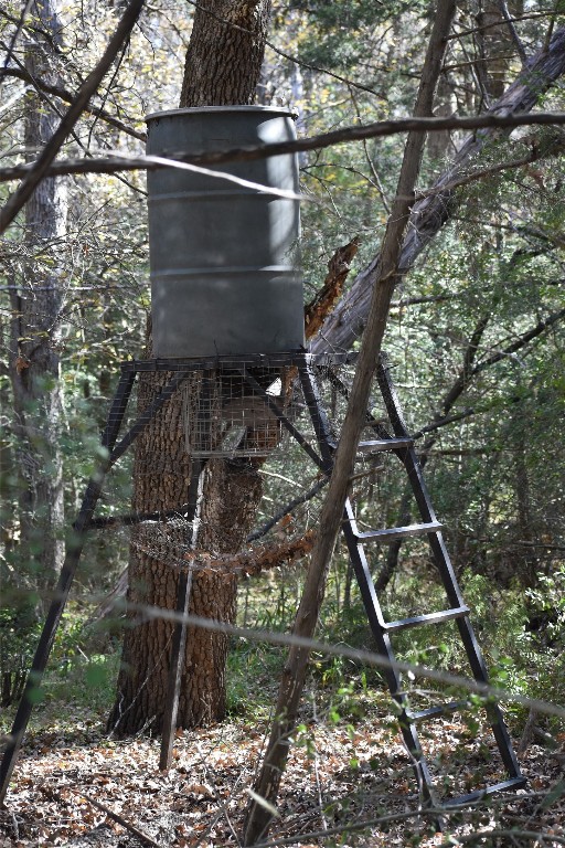 272 Deadwood Road Cedar Creek, TX 78612 - Photo 33 of 34